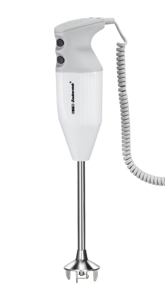 Esge Zauberstab 90850 G 200 Stabmixer Test Zusammenfassung +HIER+